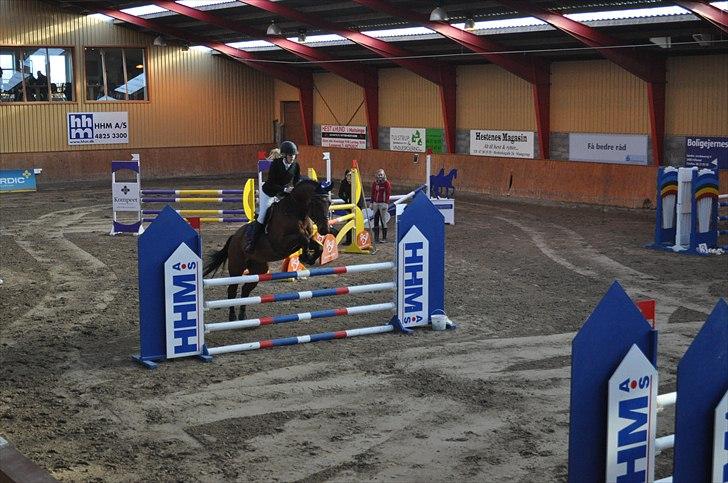 Svensk Varmblod A-tack - Til stævne i hillerød d. 13-11-2010 billede 3