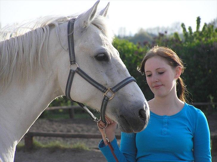 Connemara Rusheen Cuckoo billede 3