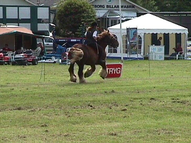 Jyde Matador R.I.P billede 2