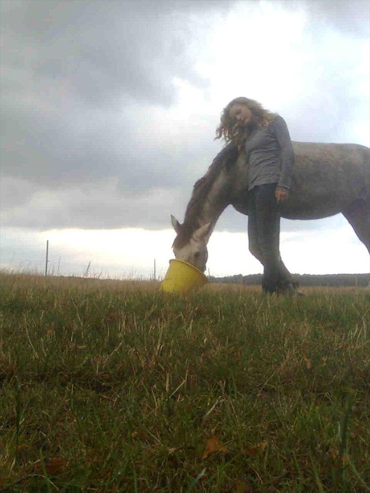 Anden særlig race robert ***SOLGT*** - maiken og robert i en hyggestund på marken billede 11