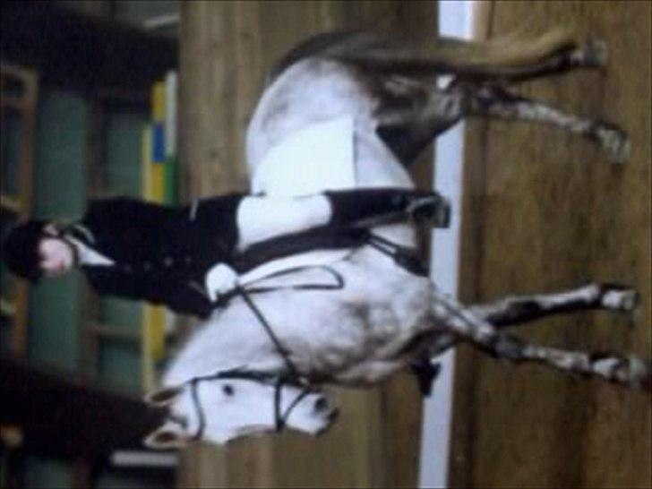 Anden særlig race robert ***SOLGT*** - roberts og maikens første stævne hvor han blev nr 3 i klubmesterskab 9/10-2010 billede 12