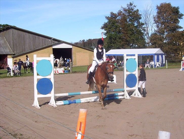 Tyroler Haflinger Nam Nam *DrØmMePoNyEn*  - Stævne 2010
Første springstævne :) billede 9