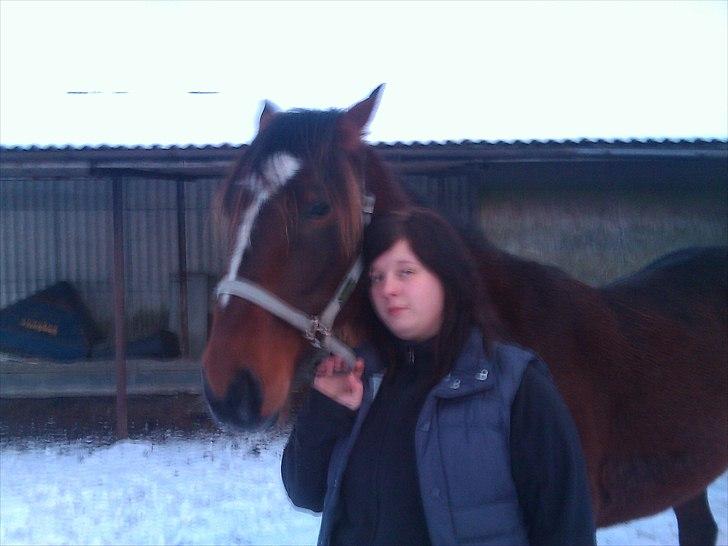 Traver Mr Øland billede 9