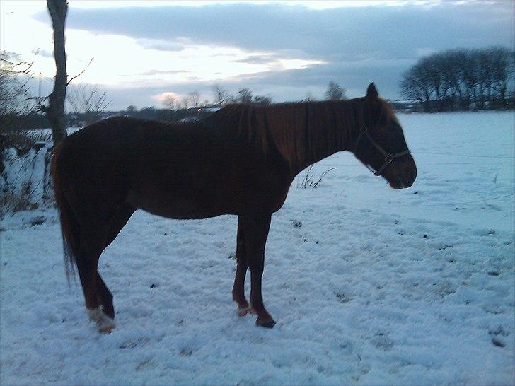 Traver Hard To Get billede 14