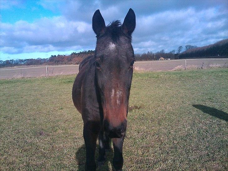 Traver Tuff Music billede 2