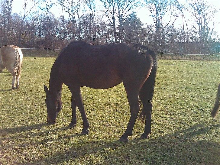 Traver Tuff Music billede 4