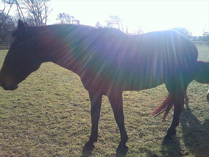 Traver Tuff Music billede 5