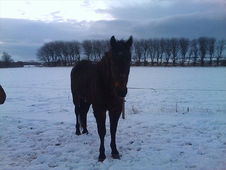 Traver Tuff Music billede 6