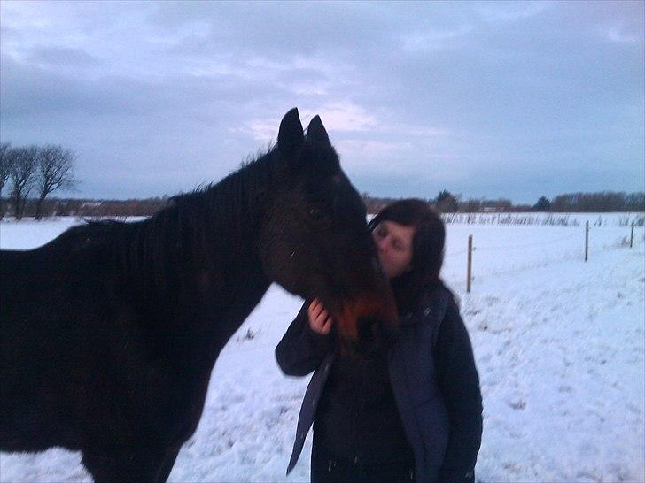 Traver Tuff Music billede 9