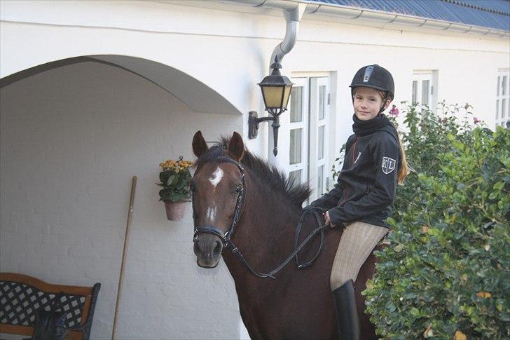 DSP Candy højgård - [på vildspor :o) ] billede 9