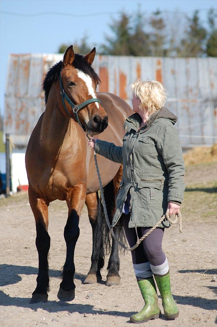 Anden særlig race Gabriella (Gabi) - Kom min smukke tøs billede 4