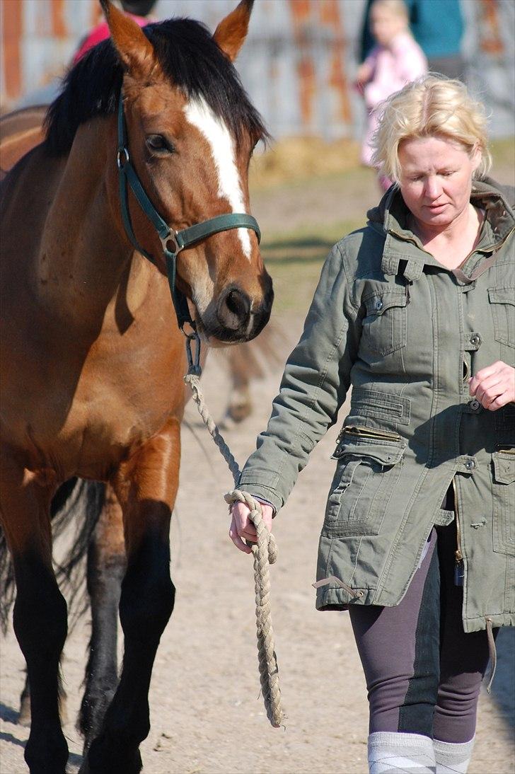 Anden særlig race Gabriella (Gabi) - Nu går vi lige en tur Gabi billede 8