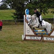 Anden særlig race Action *"solgt"