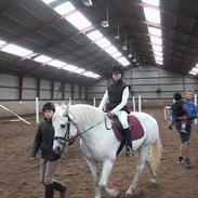 Connemara Svanekærgårs Aurora