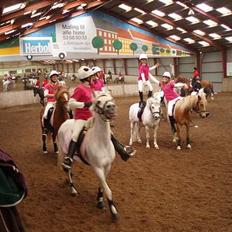 Anden særlig race Tahly Star (død)