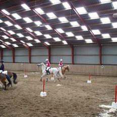 Anden særlig race Tahly Star (død)