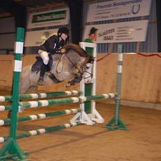 Welsh Mountain (sec A) Erin Triumph B-pony Solgt