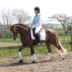 Connemara Skærgårdens First Night