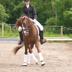 Connemara Skærgårdens First Night