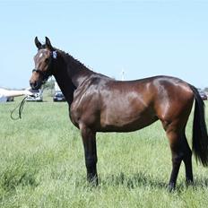 Oldenborg Dea af Vodagergård