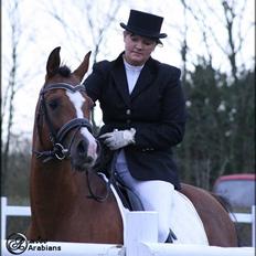 Arabisk fuldblod (OX) Wareno - SOLGT - † AFLIVET 2014 †