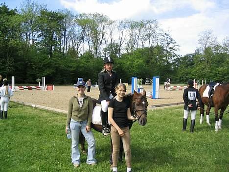 Dartmoor Sille - Til military - vandt ! billede 6