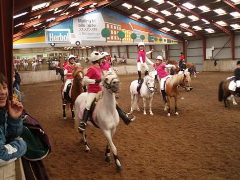 Anden særlig race Tahly Star (død) - jeg kan ikke holde hende.. billede 2