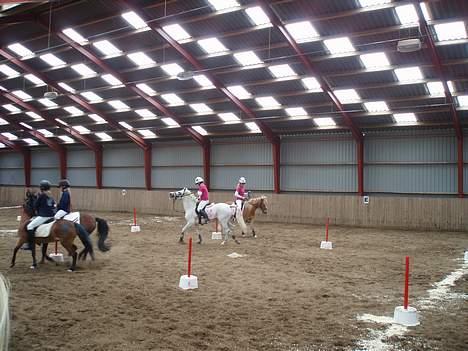 Anden særlig race Tahly Star (død) - mig og mie kludre i den billede 3