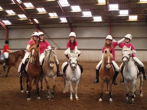 Anden særlig race Tahly Star (død) - her er vi samlet hele holdet (længst henne til højre) billede 4