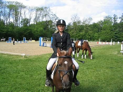 Dartmoor Sille - smukke Mulle og jeg inden springning! <´33 billede 8