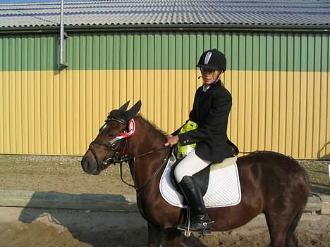 Dartmoor Sille - Vandt LB spring! <´33  billede 10