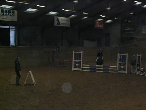 Dartmoor Sille - LB på vej over lodret ! <´33  billede 11