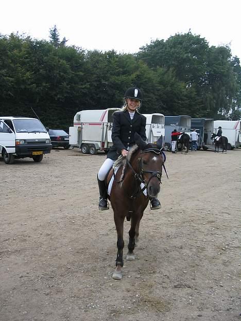 Dartmoor Sille - Min skat vil gerne hjem nu! hehe <´33 love sille forever billede 13