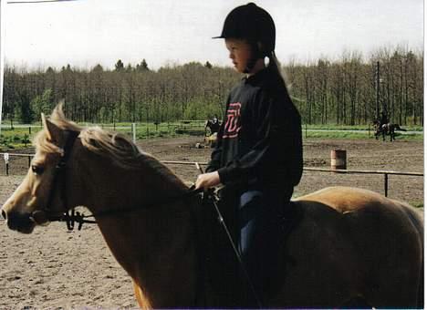 Welsh Pony (sec B) Chuela <33 billede 8