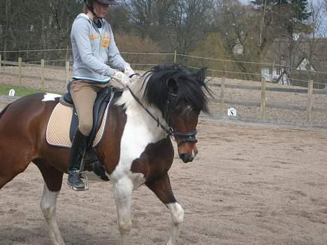 Anden særlig race Frisbee - og til undervisning billede 10