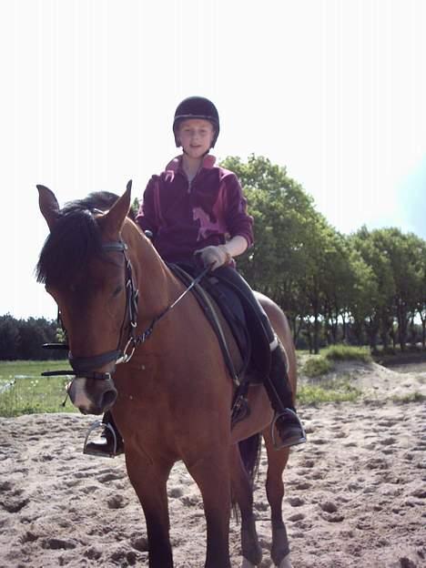 Tysk Sportspony Charlie Brown - SOLGT - parade 31/05-2006 billede 11