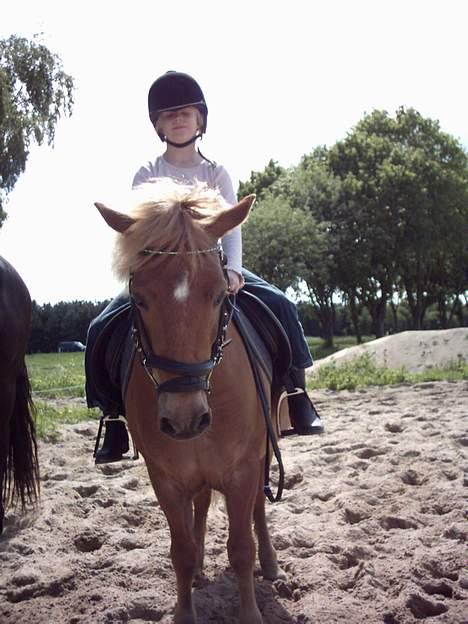 Anden særlig race otto - uhh!!! fin parade billede 1