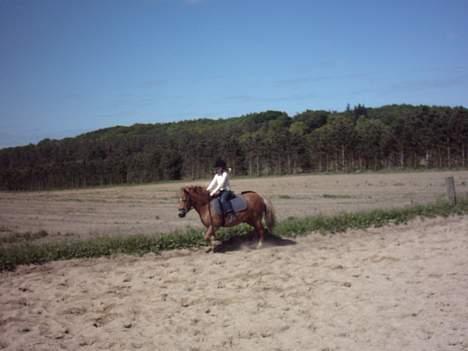Anden særlig race otto - træning 31/05-2006 billede 3