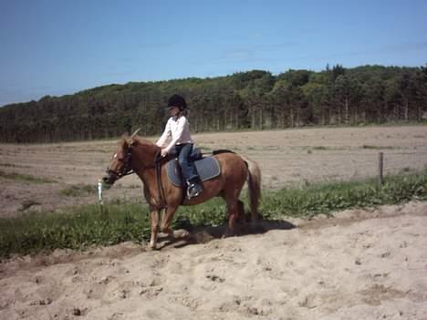 Anden særlig race otto - træning 31/05-2006 billede 4