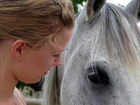 Arabisk fuldblod (OX) Cholito - True love billede 13