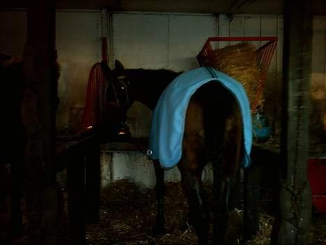 Traver label    R.I.P - også lige blevet vasket skulle være fin til søsters konfi skulle hente hende billede 11