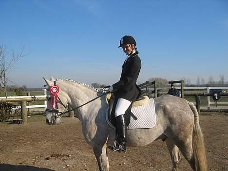 Anden særlig race Silver Star - lige vundet lb1 med 71,25% . billede 1