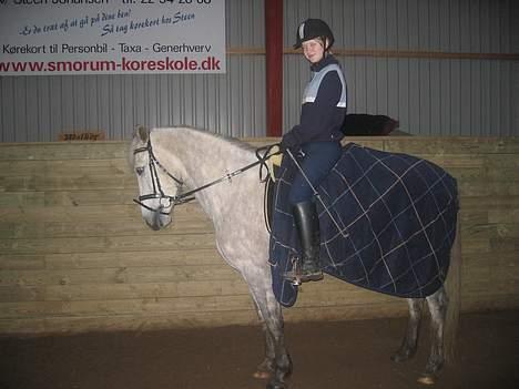 Anden særlig race Silver Star billede 2