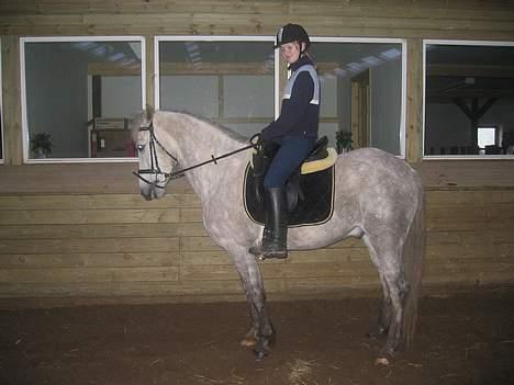 Anden særlig race Silver Star billede 3