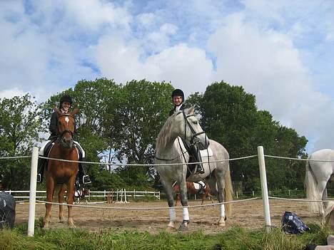 Anden særlig race Silver Star - Mig og min bedste veninde <3 billede 6