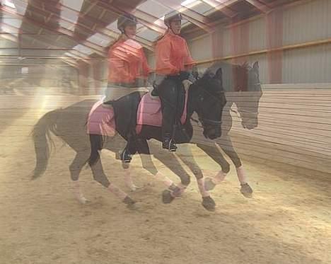 Anden særlig race ++Loke, Elsket & savnet++ - Lavet af Lisa Christensen! Super smukt..! billede 20