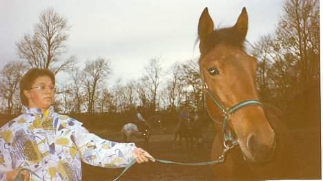 Standardbred ¨˜”°º• Ulrikka(solgt)•º°” - dette er på Brendstrup gård inden blev lukket billede 8