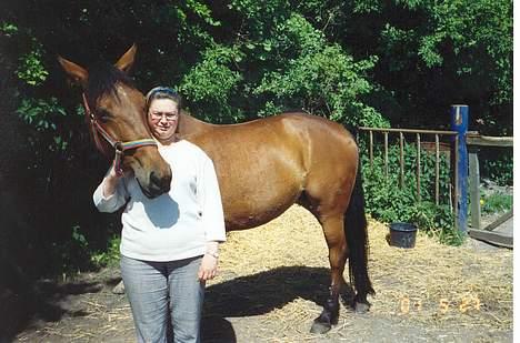 Standardbred ¨˜”°º• Ulrikka(solgt)•º°” - Her står jeg med Ulrikka(indelukke på græsfold) billede 9
