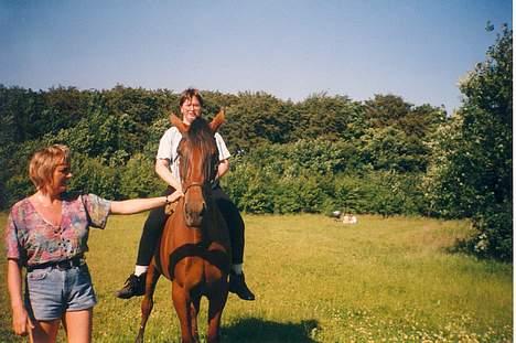 Standardbred ¨˜”°º• Ulrikka(solgt)•º°” - Mig på Ulrikka hold af en hjælpsom dame billede 10