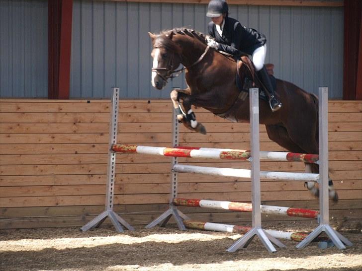 Connemara Skærgårdens First Night - 10 års jubilæum 2010 billede 5